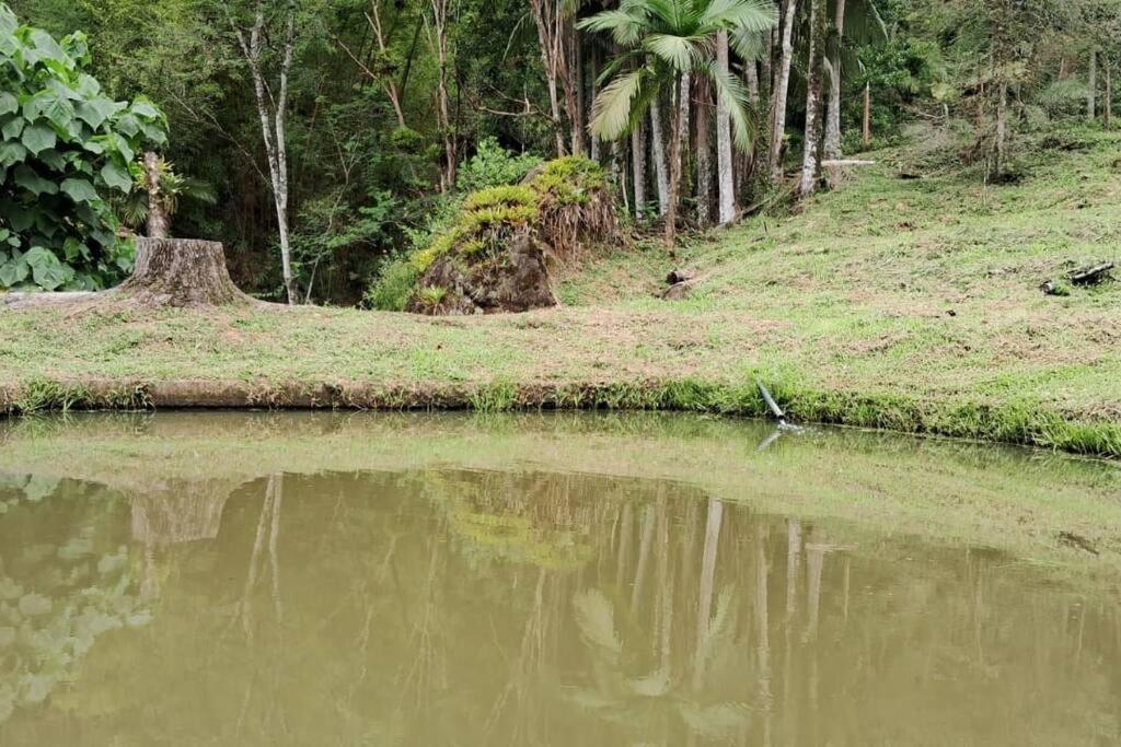 Sitio Som Das Aguas Benedito Novo Ngoại thất bức ảnh
