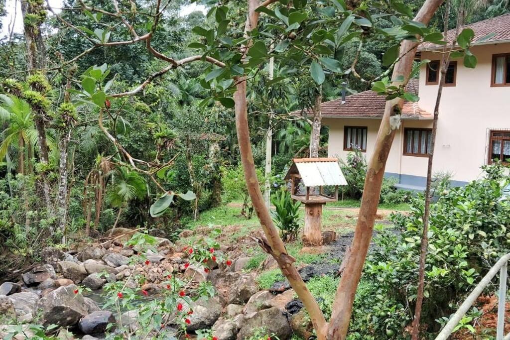 Sitio Som Das Aguas Benedito Novo Ngoại thất bức ảnh