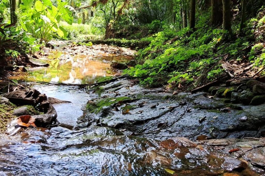 Sitio Som Das Aguas Benedito Novo Ngoại thất bức ảnh