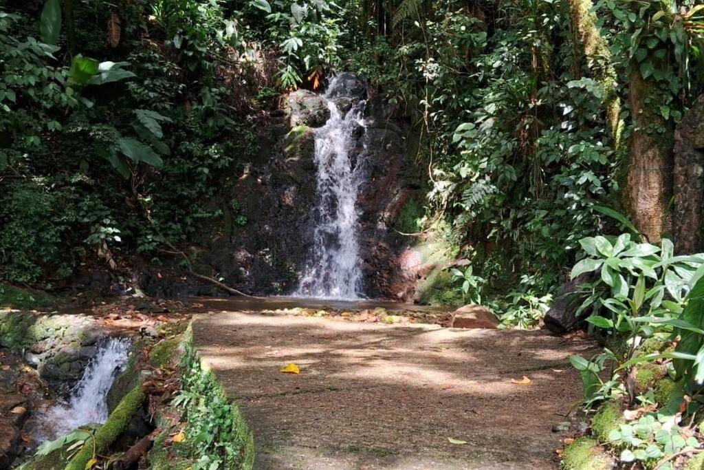 Sitio Som Das Aguas Benedito Novo Ngoại thất bức ảnh