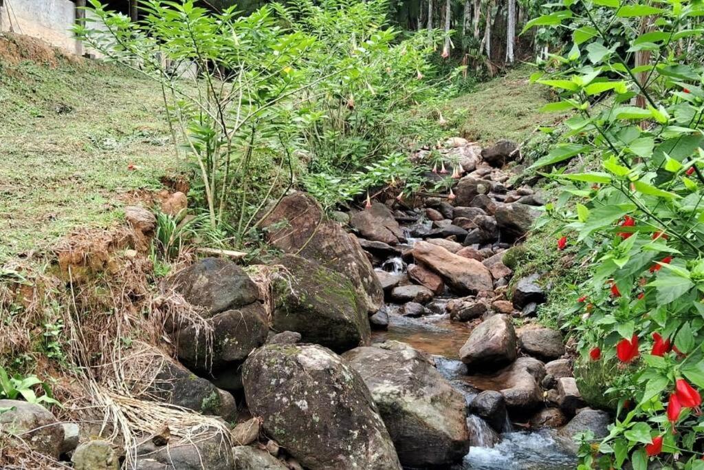 Sitio Som Das Aguas Benedito Novo Ngoại thất bức ảnh