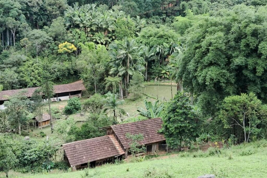 Sitio Som Das Aguas Benedito Novo Ngoại thất bức ảnh