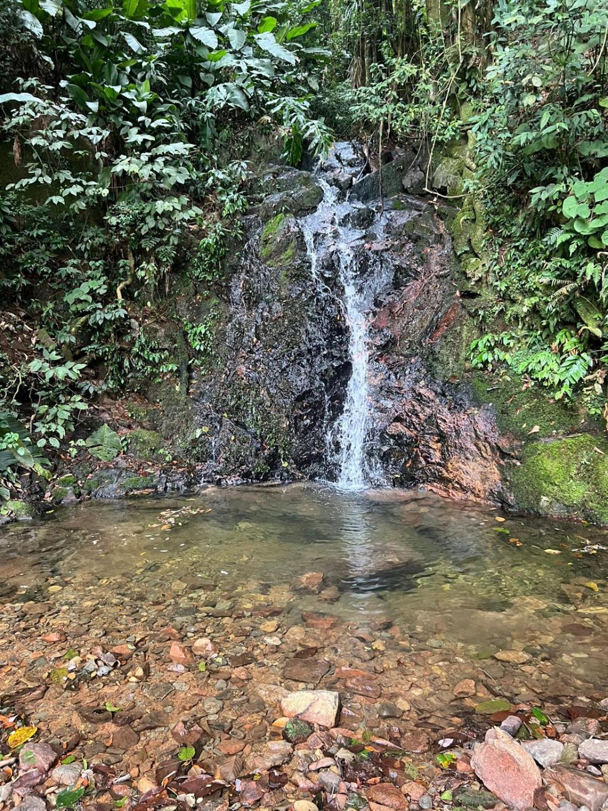 Sitio Som Das Aguas Benedito Novo Ngoại thất bức ảnh