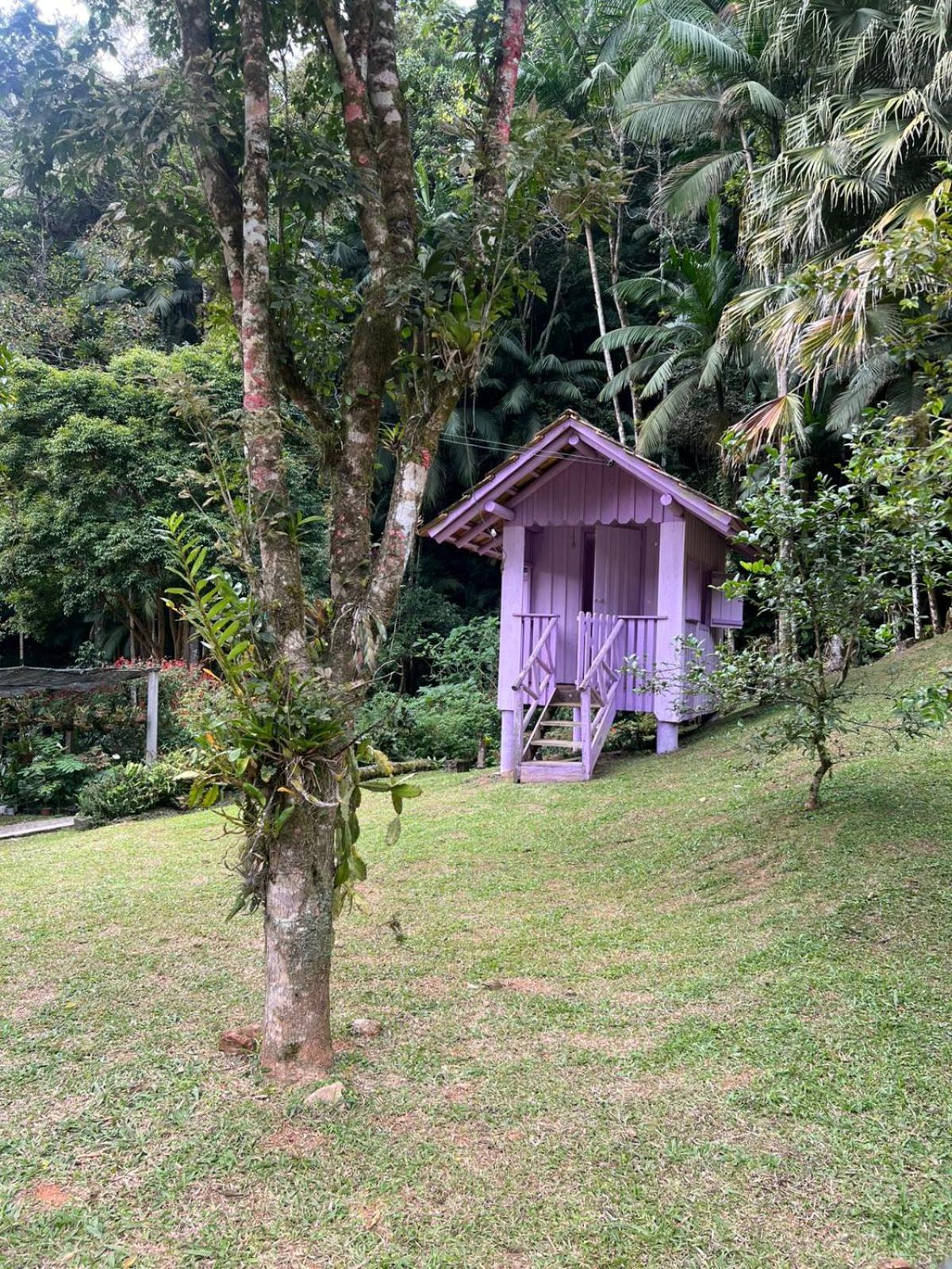 Sitio Som Das Aguas Benedito Novo Ngoại thất bức ảnh