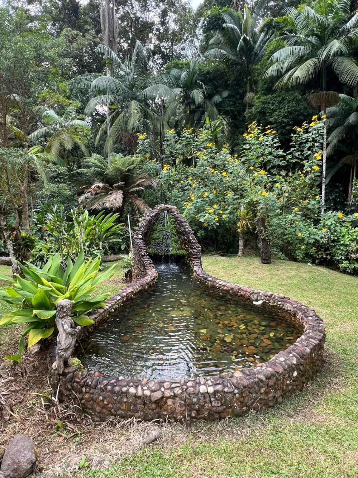 Sitio Som Das Aguas Benedito Novo Ngoại thất bức ảnh