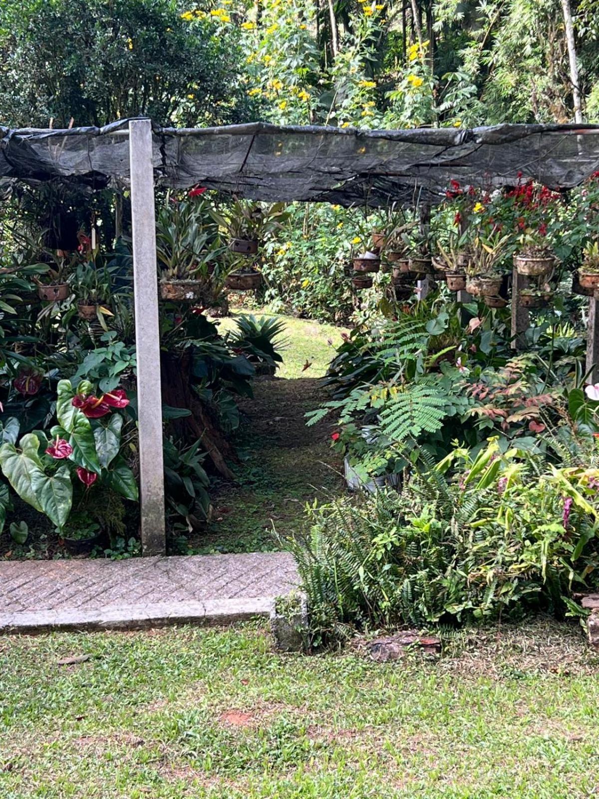Sitio Som Das Aguas Benedito Novo Ngoại thất bức ảnh